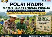 Dukung Swasembada Pangan Nasional, Polda Sulbar Kerahkan Bhabinkamtibmas Dampingi Petani Hingga Panen