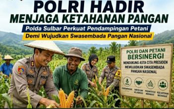 Dukung Swasembada Pangan Nasional, Polda Sulbar Kerahkan Bhabinkamtibmas Dampingi Petani Hingga Panen