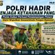 Dukung Swasembada Pangan Nasional, Polda Sulbar Kerahkan Bhabinkamtibmas Dampingi Petani Hingga Panen