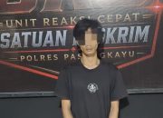 Kabur ke Palu, Pelaku Penggelapan Dibekuk Polisi
