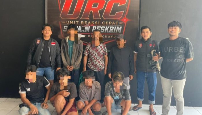7 Terduga Pencuri Sawit Diciduk, 3 Kabur