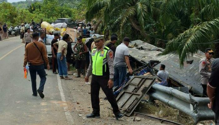 Bus Bintang Fadiya Terperosok di Kebun Sawit, Dua Orang Meninggal