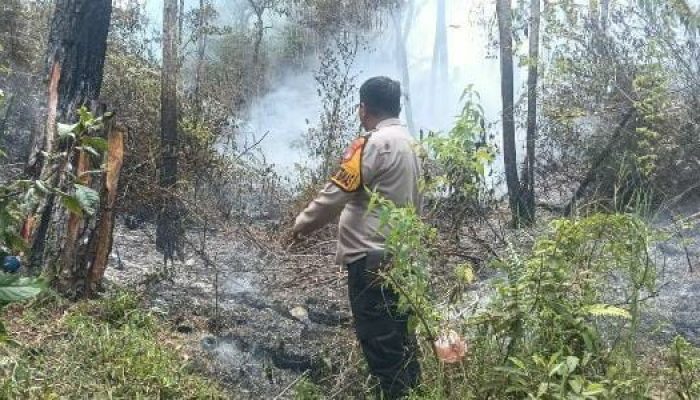 Api Lahap 2 Hektare Lahan di Tawalian, Diduga Dipicu Pembakaran