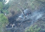 Api Lahap Bukit Kalubibing di Samping Mapolda, Kapolda Sulbar Turun Langsung Kerahkan Pasukan