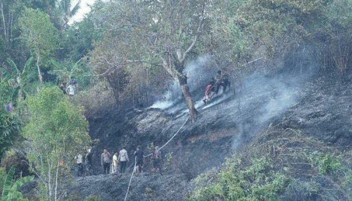 Api Lahap Bukit Kalubibing di Samping Mapolda, Kapolda Sulbar Turun Langsung Kerahkan Pasukan