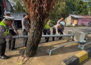 Hujan Deras dan Angin Kencang Terjang Mamuju, Polantas Sigap Evakuasi Pohon dan Tiang Lampu