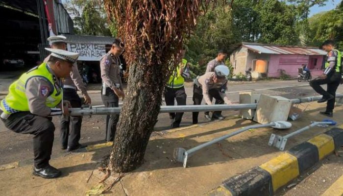 Hujan Deras dan Angin Kencang Terjang Mamuju, Polantas Sigap Evakuasi Pohon dan Tiang Lampu