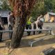 Hujan Deras dan Angin Kencang Terjang Mamuju, Polantas Sigap Evakuasi Pohon dan Tiang Lampu