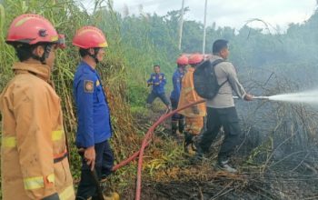 5 Hektare Lahan Terbakar di Tikke Raya, Polisi dan Warga Bergerak Cepat