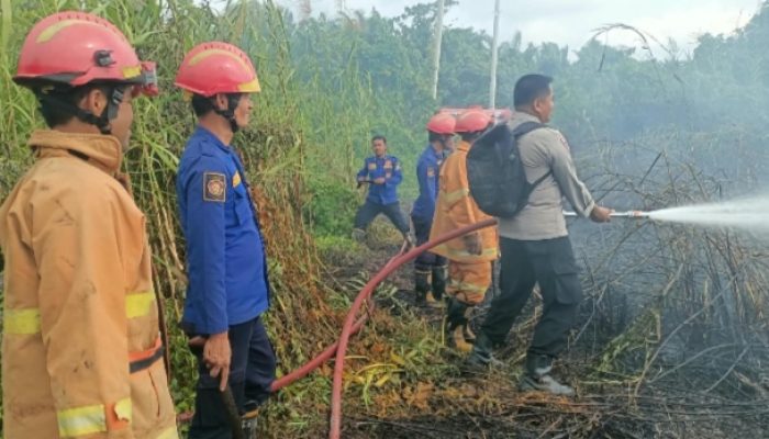 5 Hektare Lahan Terbakar di Tikke Raya, Polisi dan Warga Bergerak Cepat
