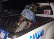 Motor Hantam Sapi di Jalan Trans Sulawesi, Dua Pemuda Luka