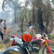 Puntung Rokok Diduga Picu Kebakaran, 10 Pohon Sawit Terdampak