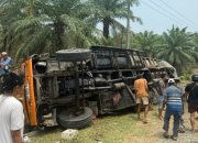 Truk Bermuatan Minyak Kita Masuk Parit di Trans Sulawesi, Sopir Meninggal di Lokasi