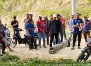 Tuntut Ganti Rugi Lahan 23 Hektare, Warga Desa Doda Gelar Aksi di PT Unggul WTL